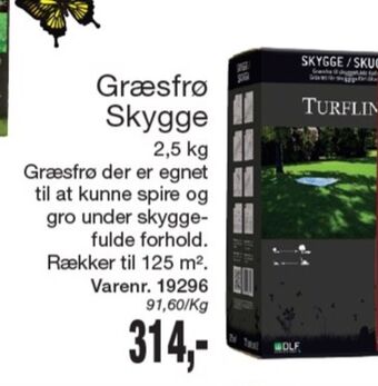 Harald Nyborg Turfline græsfrø tilbud
