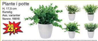 Ukendt kunstige planter