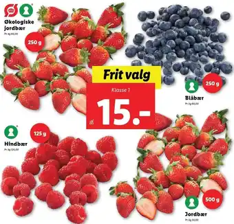 Lidl Økologiske jordbær, blåbær, hindbær eller jordbær tilbud