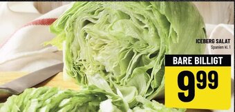 Iceberg Salat