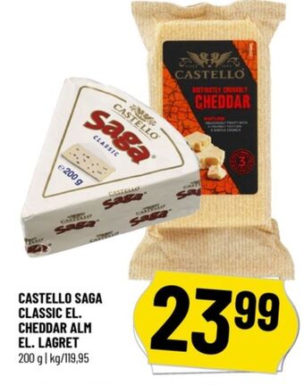 Saga skimmelost