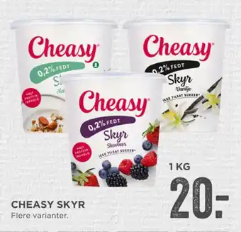 Cheasy skyr skovbær