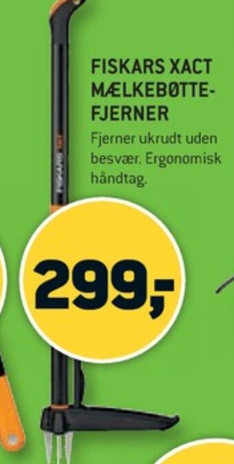 Xact mælkebøttefjerner
