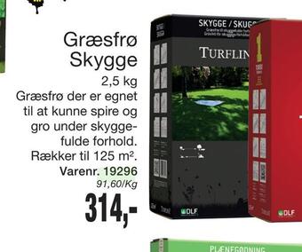 Harald Nyborg Græsfrø skygge tilbud