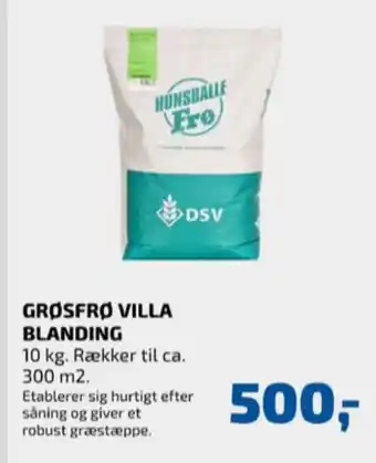 Davidsen Hunsballe frø græsfrø tilbud
