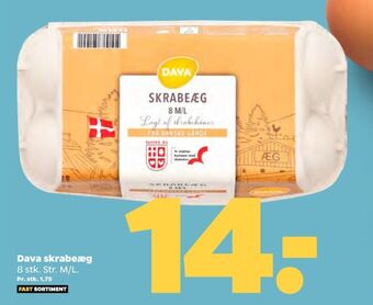 Netto Dava foods æg tilbud