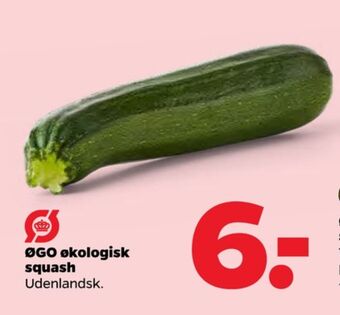 Netto Øgo squash tilbud
