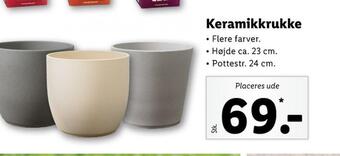 Ukendt havekrukker