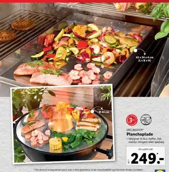 Lidl Grillmeister grillbakke tilbud