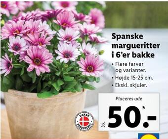 Lidl Ukendt planter tilbud