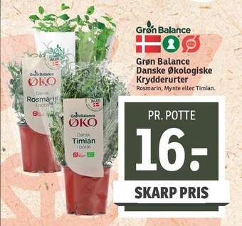 SPAR Grøn balance danske økologiske krydderurter tilbud