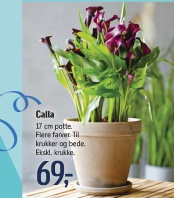 Føtex Calla tilbud