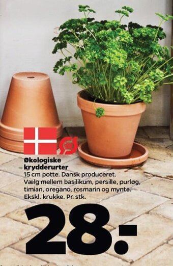 Netto Økologiske krydderurter tilbud