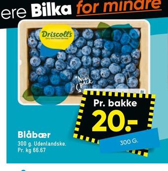 Bilka Blåbær tilbud