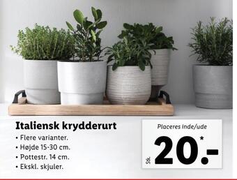 Lidl Italiensk krydderurt tilbud