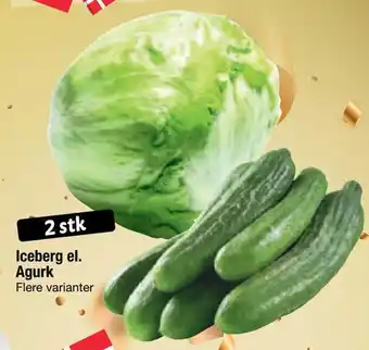 Fakta Tyskland Iceberg el. agurk tilbud