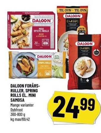 Daloon forårsruller, spring rolls el. mini samosa