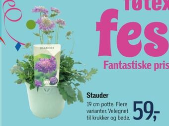 Føtex Ukendt planter tilbud