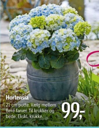 Føtex Ukendt planter tilbud