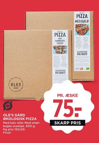 Ole's pizza