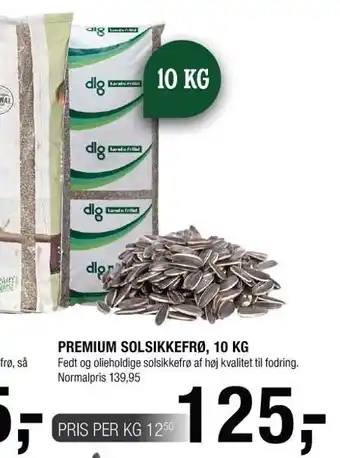 Premium solsikkefrø