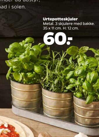 Netto Ukendt urtepotteskjuler tilbud