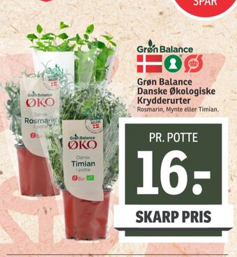 SPAR Grøn balance krydderurter tilbud