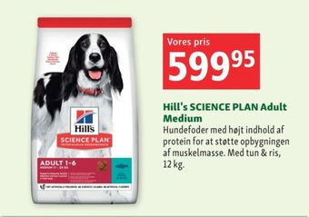 Science plan hundefoder