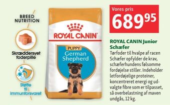 Maxi Zoo Royal canin hundefoder tilbud