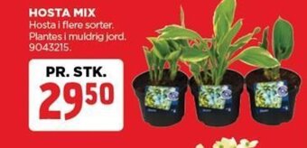 jem & fix HOSTA MIX tilbud