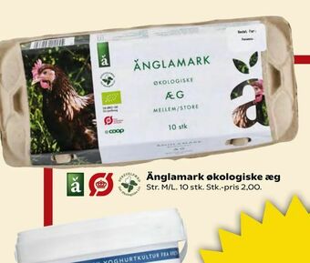 Kvickly Änglamark økologiske æg tilbud