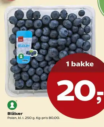 Kvickly Blåbær tilbud