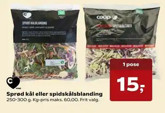 Kvickly Sprød kål eller spidskålsblanding tilbud