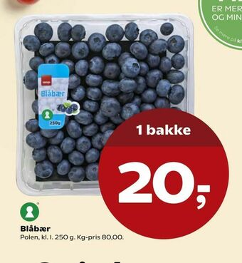 SuperBrugsen Blåbær tilbud