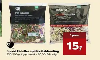 Sprød kål eller spidskålsblanding