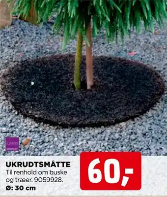 Ukrudtsmåtte