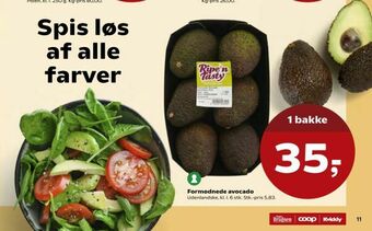 SuperBrugsen Formodnede avocado tilbud