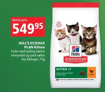 Maxi Zoo Hill's science plan kitten tilbud