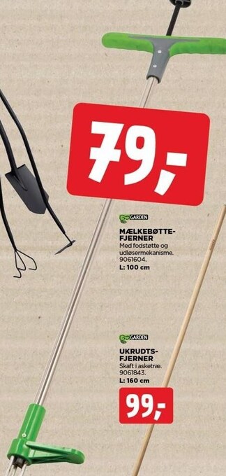 Mælkebøttefjerner
