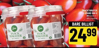 Snacktomater i spand 500 g