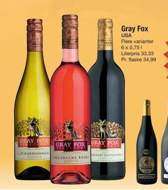 Gray Fox