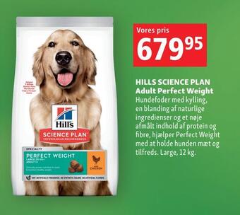 Hills science plan adult perfect weight
