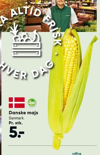 Bilka Danske majs tilbud