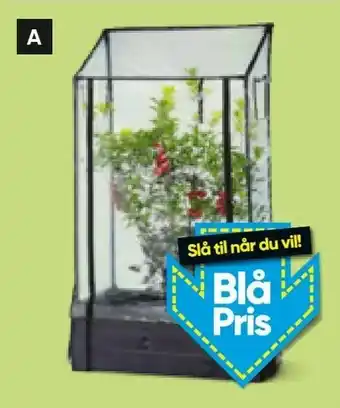 Plastdrivhus til kapilærkasse eller kapilærkasseskjuler