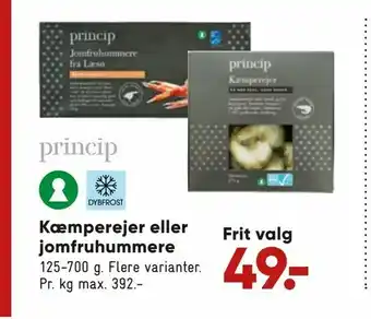 Kæmperejer eller jomfruhummere