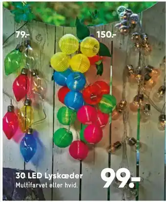 Bilka 30 LED Lyskæder tilbud