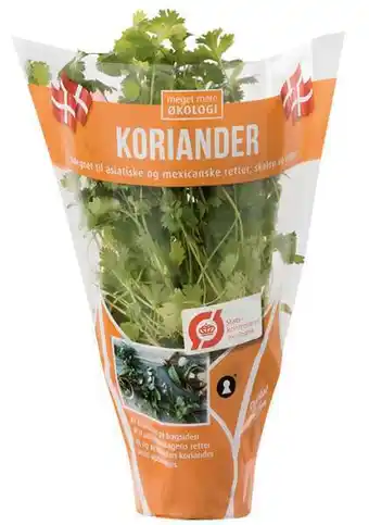 Øko. koriander, 1 ct