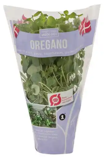 REMA 1000 Øko. oregano, 1 ct tilbud