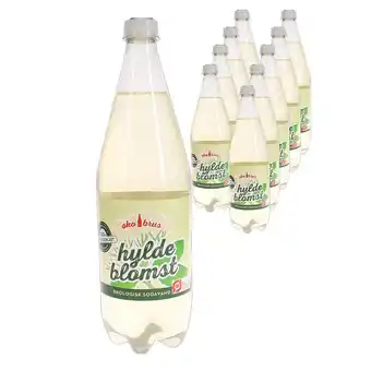 Økobrus hyldeblomst sodavand