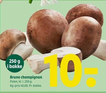 Coop 365 Brune champignon tilbud